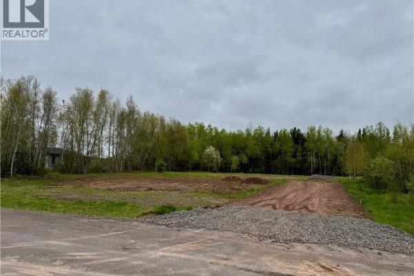 Cleared land with gravel and dirt, surrounded by trees and under cloudy sky. - 21 Wichita Drive, Lutes Mountain