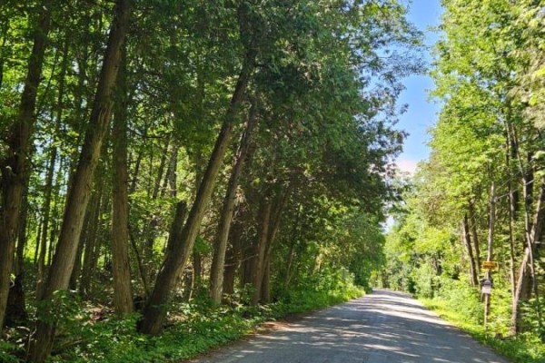 21-a Mill Line Road, Trent Lakes, ON, photo 3