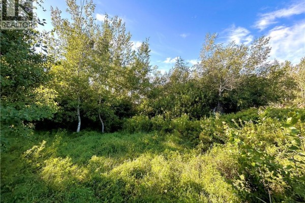 21.5 Acres Rte 117, Escuminac, NB E9A1R3 Photo 4
