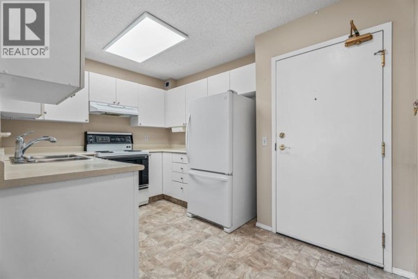 Kitchen - 210, 102 Centre Court, Okotoks, AB T1S1Z7 Photo 3