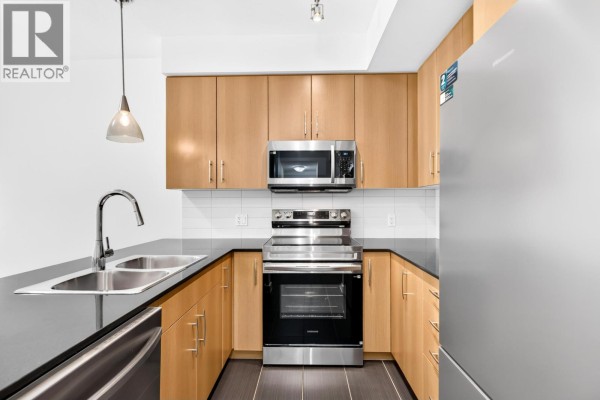 210 22290 North Avenue, Maple Ridge, BC V2X8Z8 Photo 4