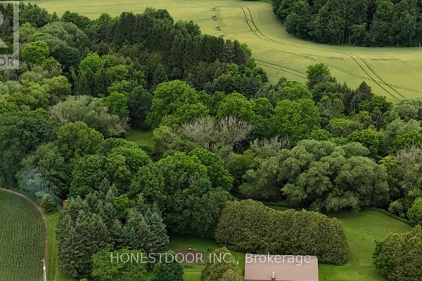 Aerial view of dense green trees and rolling farm fields under a cloudy sky. - 21021 Cherry Hill Road, Thames Centre