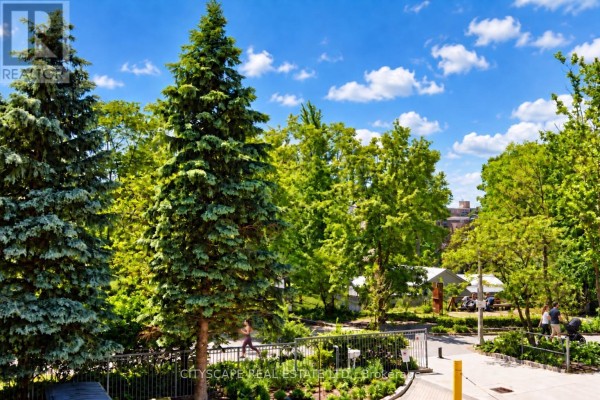View of a park-like setting with mature trees and walking paths from a balcony. - 211 - 35 Merton Street, Toronto