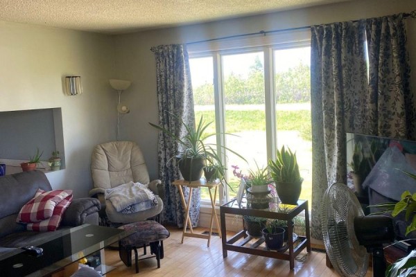 Living room with a recliner, plants, and a large window with a view of the outdoors. - 211 11 Highway, Fauquier Strickland