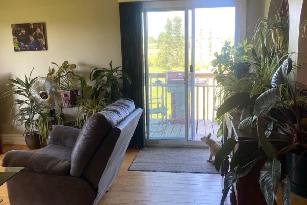 Living room with a recliner, plants, and a sliding glass door leading to an outdoor deck. - 211 11 Highway, Fauquier Strickland