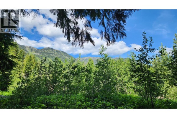 211 Cedar Creek Place, Rossland, BC V0G1Y0 Photo 4