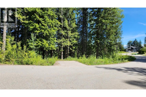 211 Cedar Creek Place, Rossland, BC V0G1Y0 Photo 5