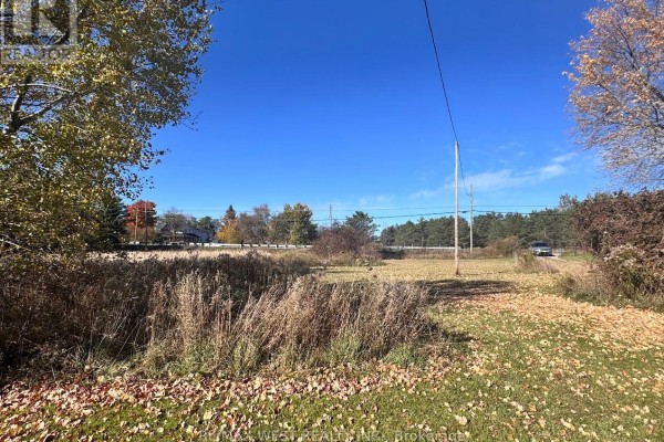 211 Queen Street W, Springwater, ON L0L1P0 Photo 4