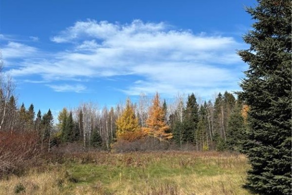 2110 Saint-charles South Road, Saint Charles, NB E4W4W6 Photo 3