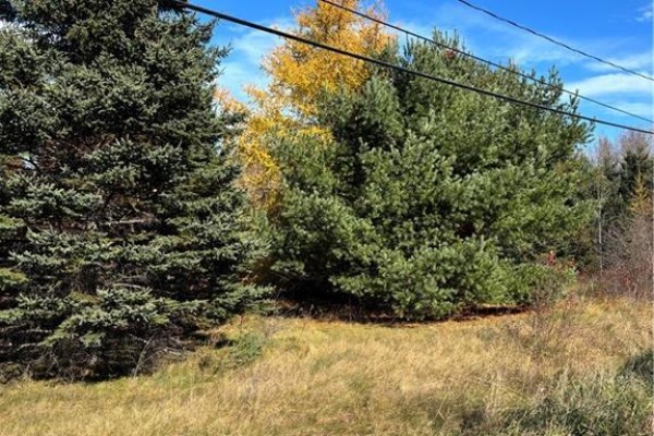 2110 Saint-charles South Road, Saint Charles, NB E4W4W6 Photo 5