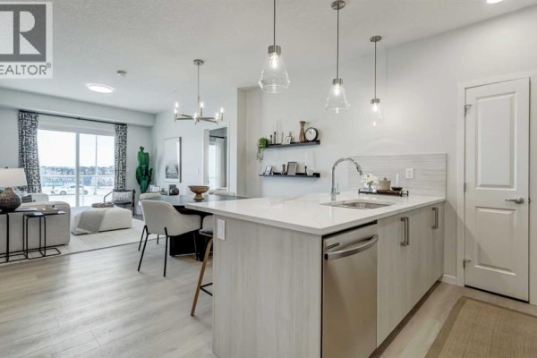 Laundry room - 2111, 20295 Seton Way Se, Calgary, AB T3M3Y9 Photo 2