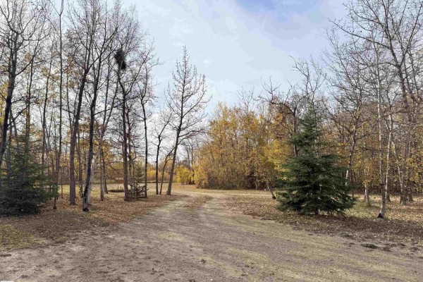 Kitchen - 21126 Twp Rd 494, Rural Camrose County, AB T0B2M1 Photo 3