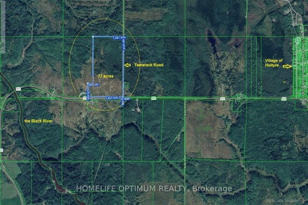 Aerial view showing 77-acre parcel outlined, bordering highway and Tamarack Road. - 2116 Highway 572 Highway, Black River Matheson