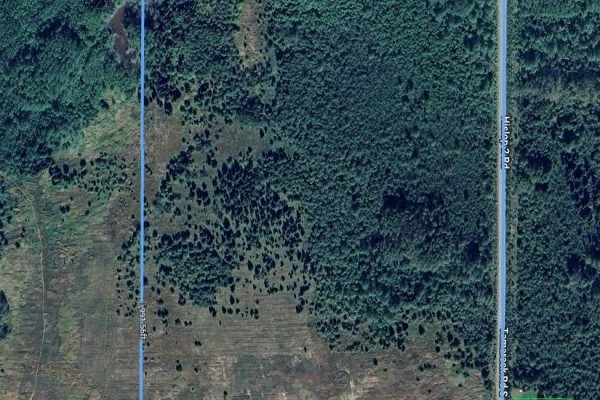 Aerial view of wooded land with cleared areas and a dirt road. - 2116 Highway 572 Highway, Black River Matheson