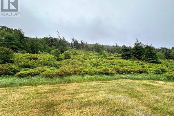 211a Shearstown Road, Shearstown, NL A0A3V0 Photo 4