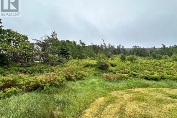 211a Shearstown Road, Shearstown, NL A0A3V0 Photo 5