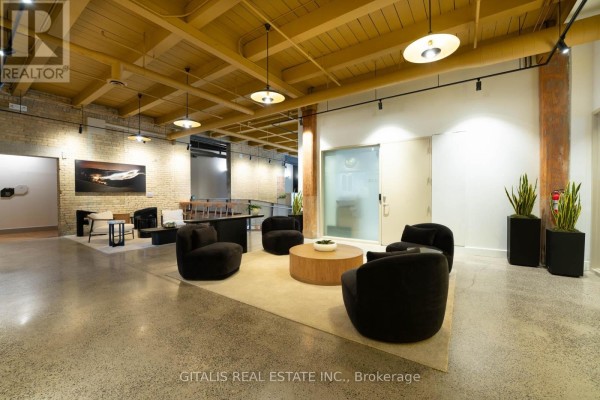 211c - 219 Dufferin Street, Toronto, ON M6K3J1 Photo 4