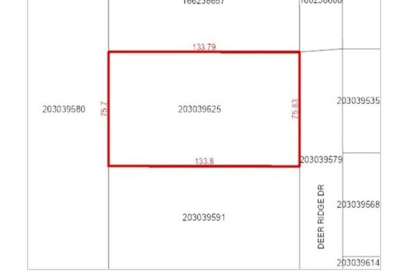 Survey map of lot 203039625 with dimensions 75.7 by 133.79 feet, adjacent to Deer Ridge Drive. - 212 Deer Ridge Drive, Emma Lake