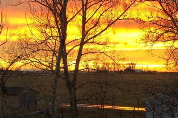 Family room - 212 Underwood Avenue, Diamond City, AB T0K0T0 Photo 4
