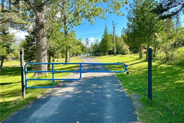 21214 Highway 6, South Bay Mouth, ON P0P1Z0 Photo 4