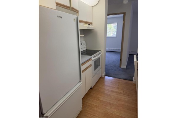 Kitchen - #213 17467 98a Av Nw, Edmonton, AB T5T6E9 Photo 3