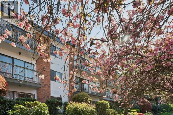 213 1950 W 8th Avenue, Vancouver, BC V6J1W3 Photo 2