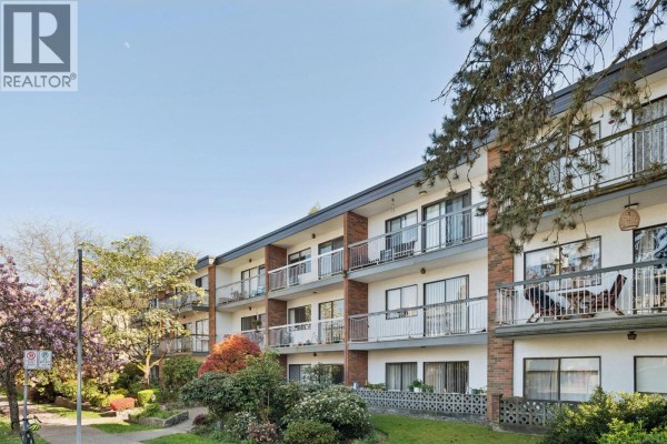 213 1950 W 8th Avenue, Vancouver, BC V6J1W3 Photo 3