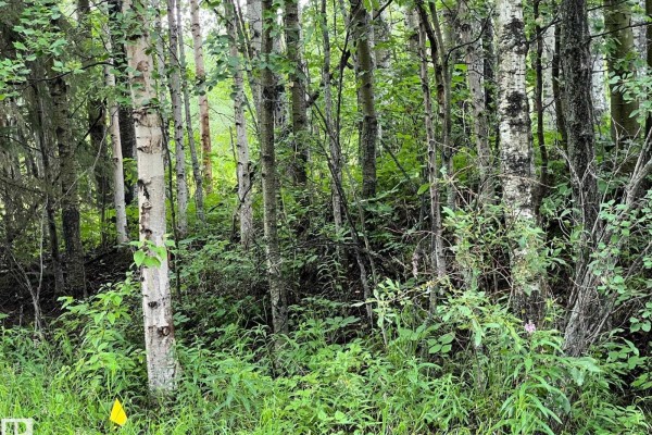 2130 2001 Twp Rd 474, Rural Leduc County, AB, photo 3