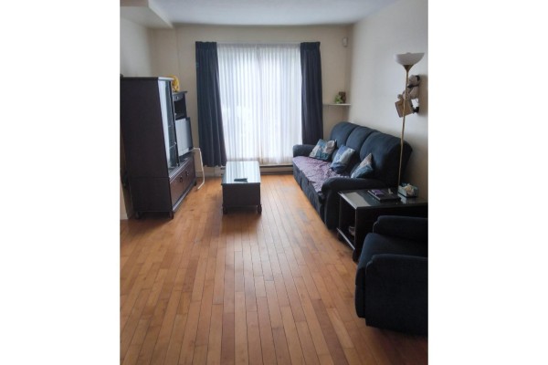 214 Rue Jules-bordet, Gatineau, QC, photo 3