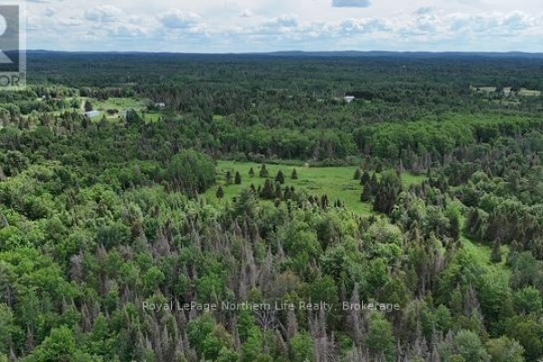 2141 Papineau Road, Papineau Cameron, ON P0H1V0 Photo 4