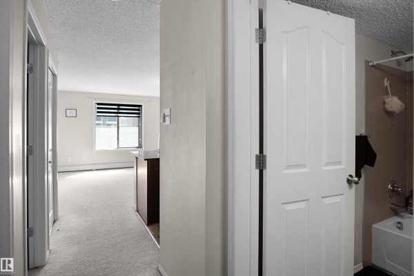 Interior hallway with doors to a living room and bathroom, and a kitchen counter. - #215 1070 Mcconachie Blvd Nw, Edmonton