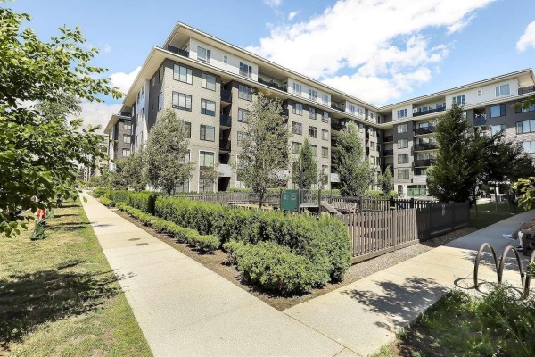 215 15825 85 Ave Avenue, Surrey