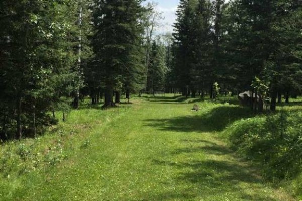 215 Wintergreen Road, Rural Rocky View County, AB, photo 2