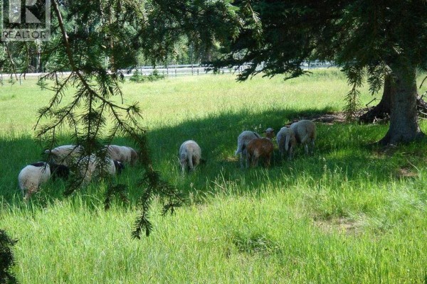 215 Wintergreen Road, Rural Rocky View County, AB, photo 3