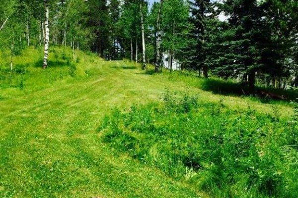 215 Wintergreen Road, Rural Rocky View County, AB T0L0K0 Photo 5