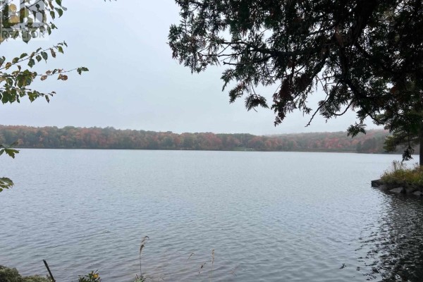 21566 Highway 17 E, Huron Shores, ON P0R1H0 Photo 3