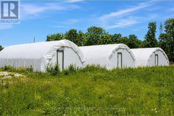 21576 Mccowan Road, East Gwillimbury, ON L0G1M0 Photo 4