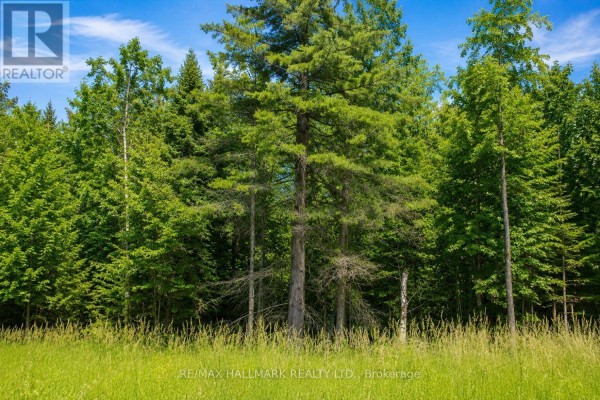 21576 Mccowan Road, East Gwillimbury, ON L0G1M0 Photo 5