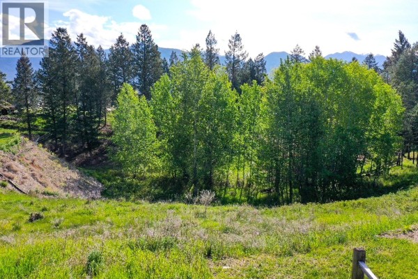 2161 Pinetree Place, Invermere, BC, photo 3