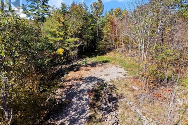21618 Highway 7 Highway, Tay Valley, ON K0H2B0 Photo 3