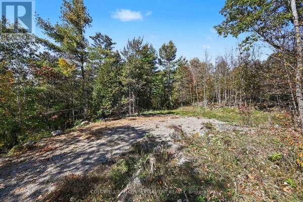 21618 Highway 7 Highway, Tay Valley, ON K0H2B0 Photo 4