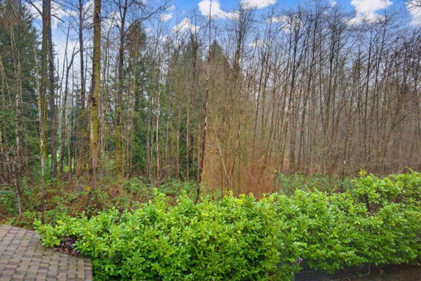 21686 93 Avenue, Langley, BC V1M4E1 Photo 5
