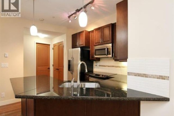 217 11935 Burnett Street, Maple Ridge, BC V2X9A9 Photo 5