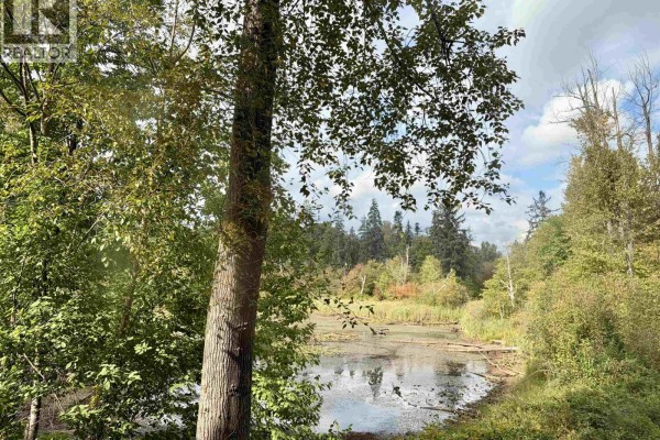 217 2551 Parview Lane, Port Coquitlam, BC V3C6J8 Photo 2
