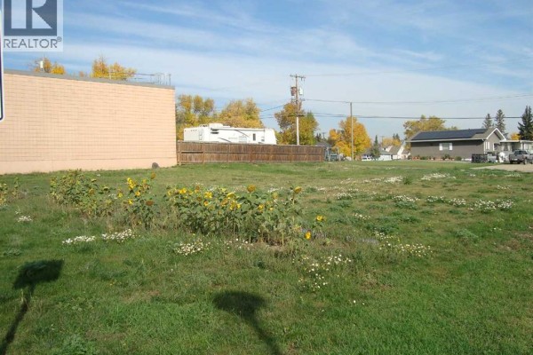 218 Main Street, Trochu, AB T0M2C0 Photo 2