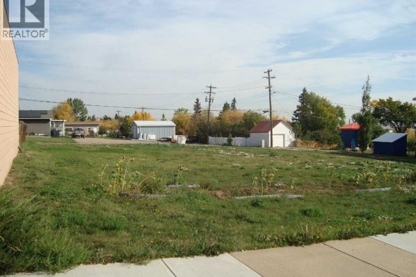 218 Main Street, Trochu, AB T0M2C0 Photo 3