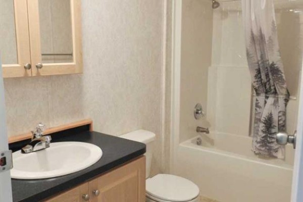 4pc Bathroom - 218 Oak Wood Drive Nw, Edmonton, AB T6P0A4 Photo 5