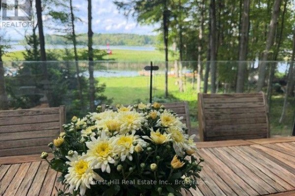 218 Wiles Lane, Grey Highlands, ON N0C1E0 Photo 4
