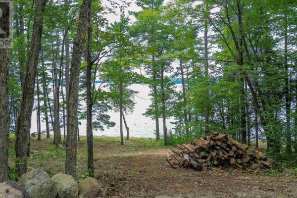 219 Demonye Ave, Iron Bridge, ON P0R1H0 Photo 4