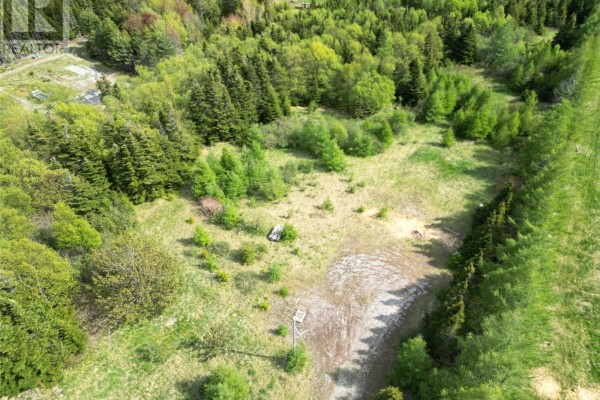 219a Kippens Road, Kippens, NL A2N1B8 Photo 5